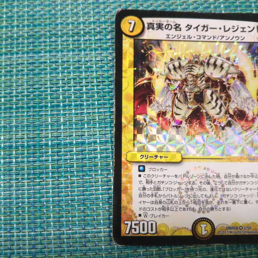 真実の名 タイガー・レジェンド