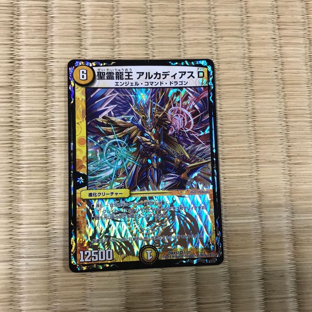 聖霊龍王 アルカディアスD