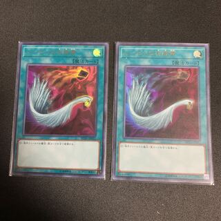 ハーピィの羽根帚 UR