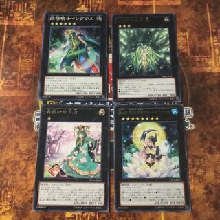 遊戯王★雪月花美神クイーンオブナイツ、森羅の姫芽宮、イングナル 、メリアスの木霊