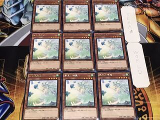 裏風の精霊 レア 9枚セット てら