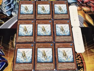 Treeborn Frog rare, set of 9, Tera.