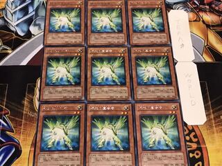 緑光の宣告者 レア 9枚セット てら