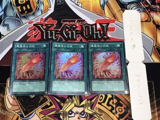 鳳凰神の羽根 スーパー 3枚セット てら