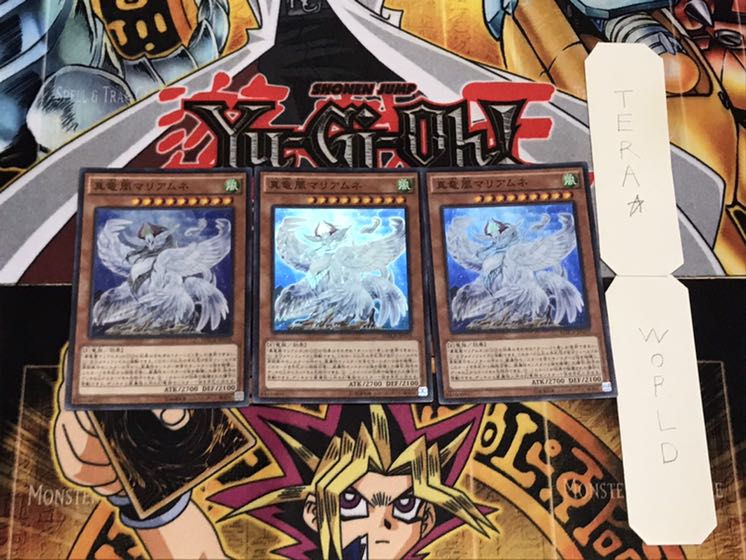 真竜凰マリアムネ スーパー 3枚セット てら