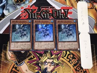 瀑征竜-タイダル スーパー 3枚セット てら