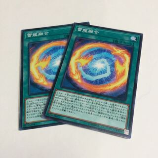 【まぴお様専用】雷龍融合【N】