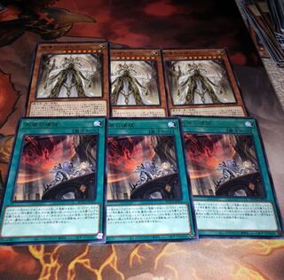 天底の使徒 R  教導の大神衹官 R 各3枚