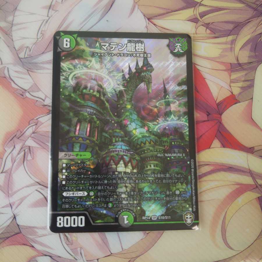 マテン龍樹 1枚