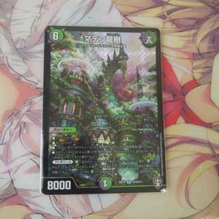 マテン龍樹 1枚