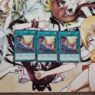 やりすぎた埋葬