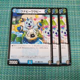 ワナビーワラビー ３枚セット