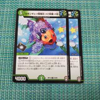 カキンギョ #紫陽花 #ご祝儀 #池 ２枚セット 367