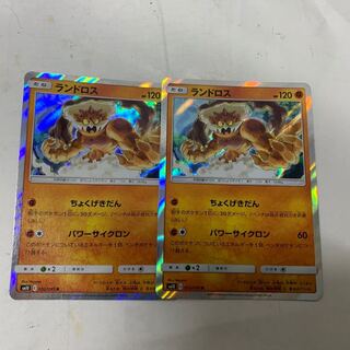 ランドロスR2枚セット 2枚