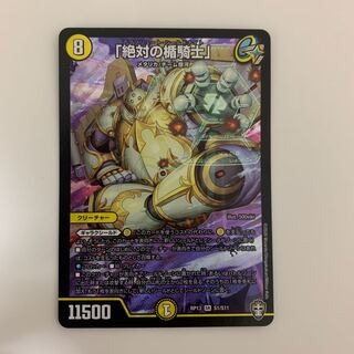 「絶対の楯騎士」