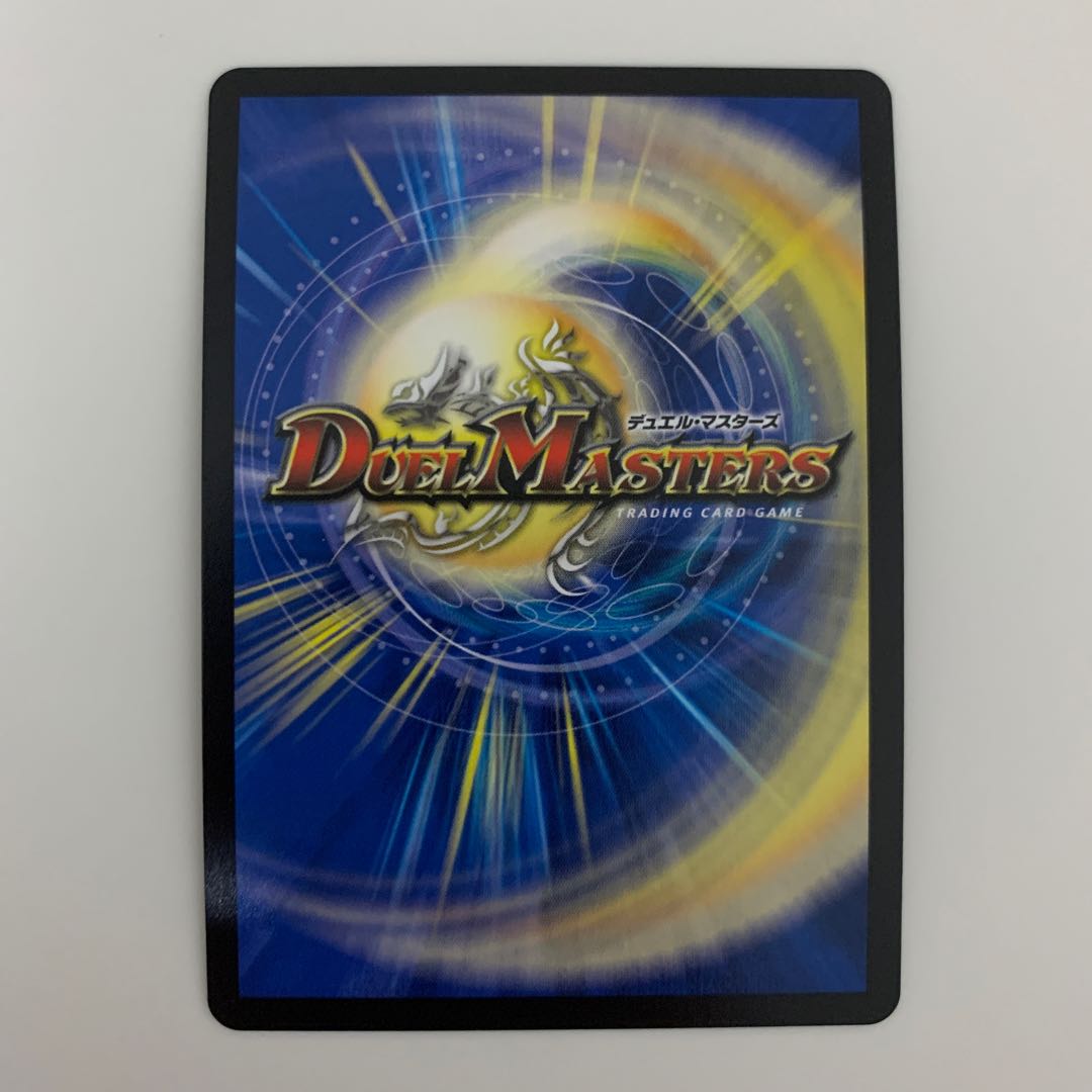 「絶対の楯騎士」