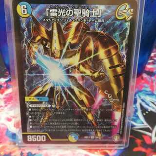 「雷光の聖騎士」