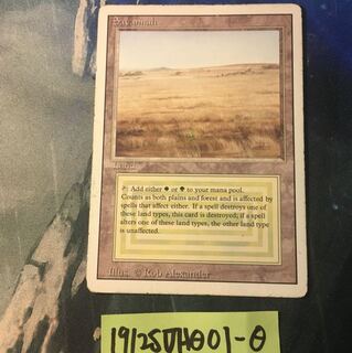MTG Savannah 3ed 英 rv リバイズド プレイド