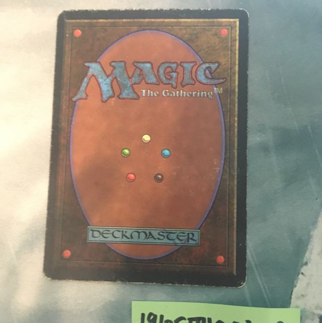 MTG Savannah 3ed 英 rv リバイズド プレイド