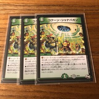 コクーン・シャナバガン3枚