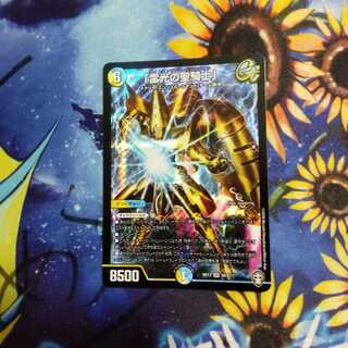 おまけ付き　「雷光の聖騎士」