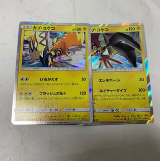 カプ・コケコR2種類