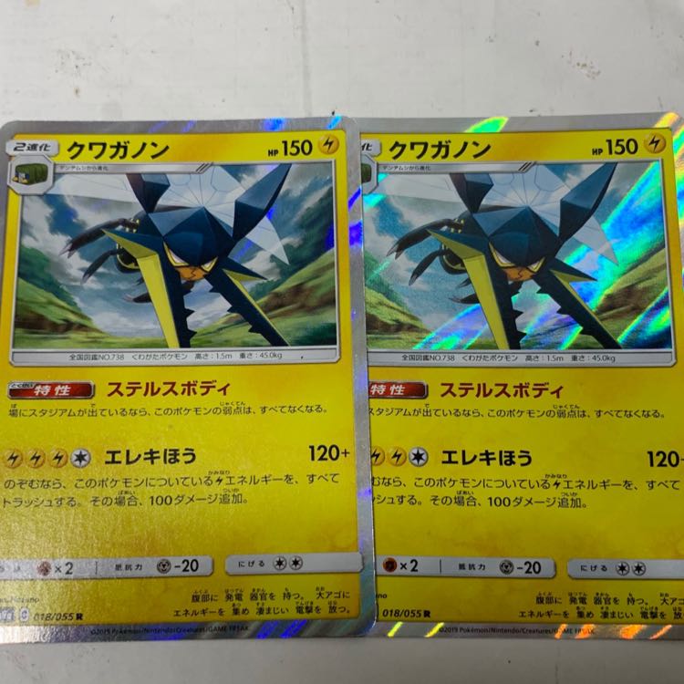 クワガノンR2枚セット