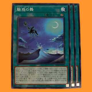 AC04-29B 魅惑の舞 ノーパラ 3枚