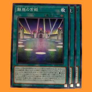 AC04-28B 魅惑の宮殿 ノーパラ 3枚