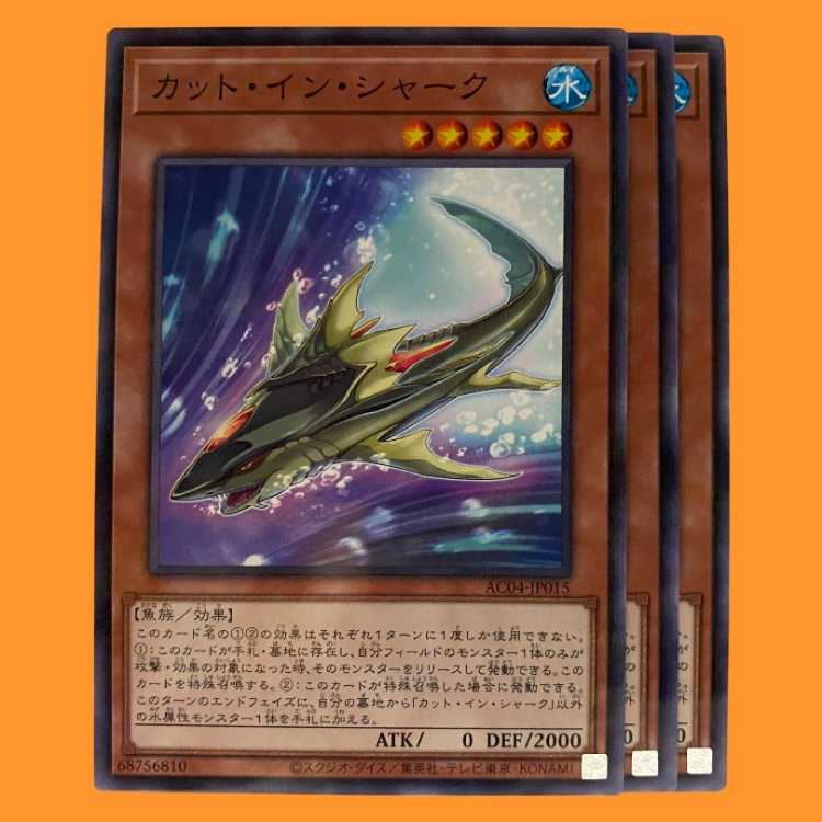 AC04-15B カット・イン・シャーク ノーパラ 3枚