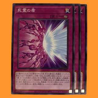 AC04-04B 死霊の盾 ノーパラ 3枚