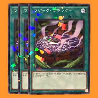 DBVS28B マジック・プランター ノーパラ 3枚