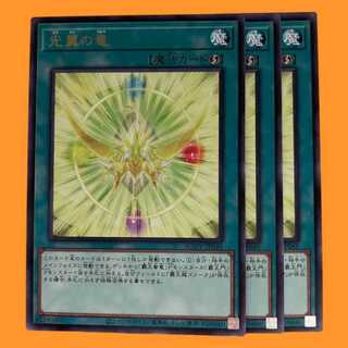 AGOV-48R 光翼の竜 3枚