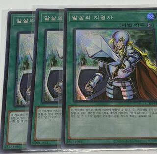 抹殺の指名者 SE 韓国語　3枚