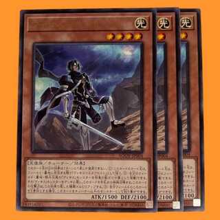 AGOV-04R ヴィサス＝サンサーラ 3枚