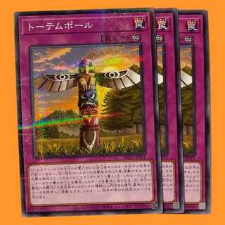 AC03-11B トーテムポール ノーパラ 3枚