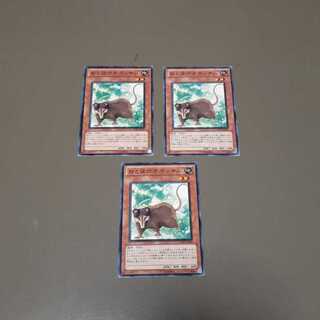 おとぼけオポッサム(N)