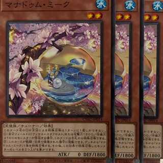 CYAC14N マナドゥム・ミーク 3枚