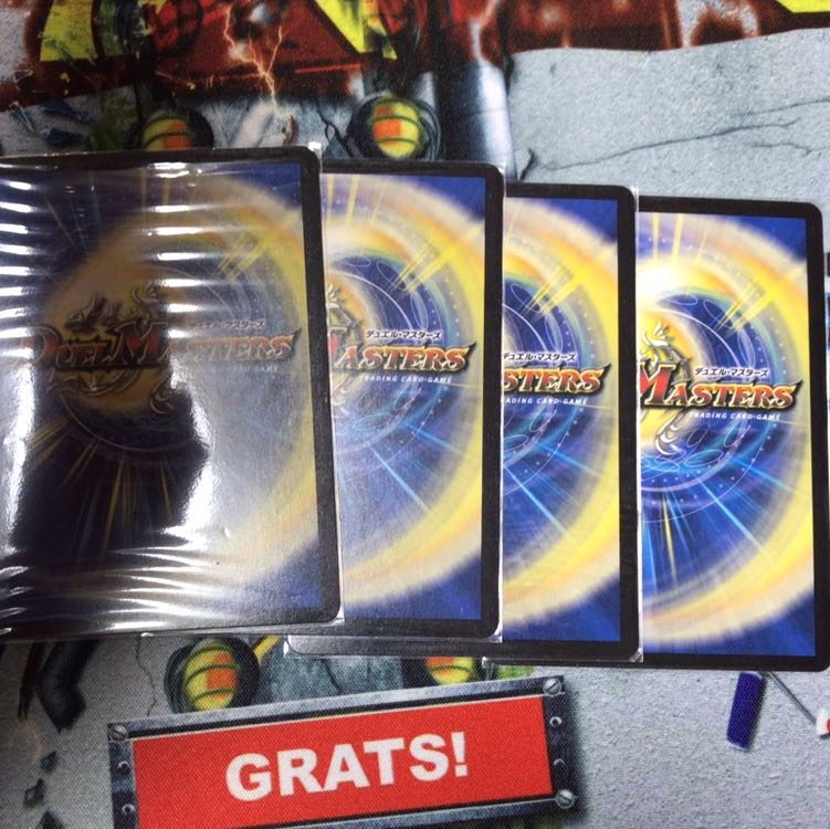 「雷光の聖騎士」 専用