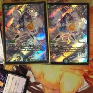 どんどんシャワーナウ2枚