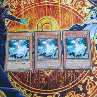 Whirlwind Weasel Normal JP205