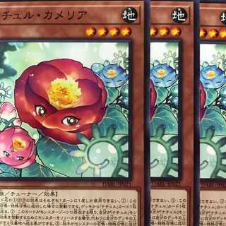 DABL21N ナチュル・カメリア 3枚