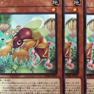 DABL20R ナチュル・モルクリケット 3枚