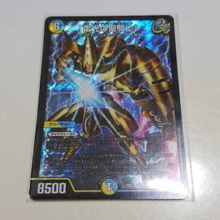 「雷光の聖騎士」