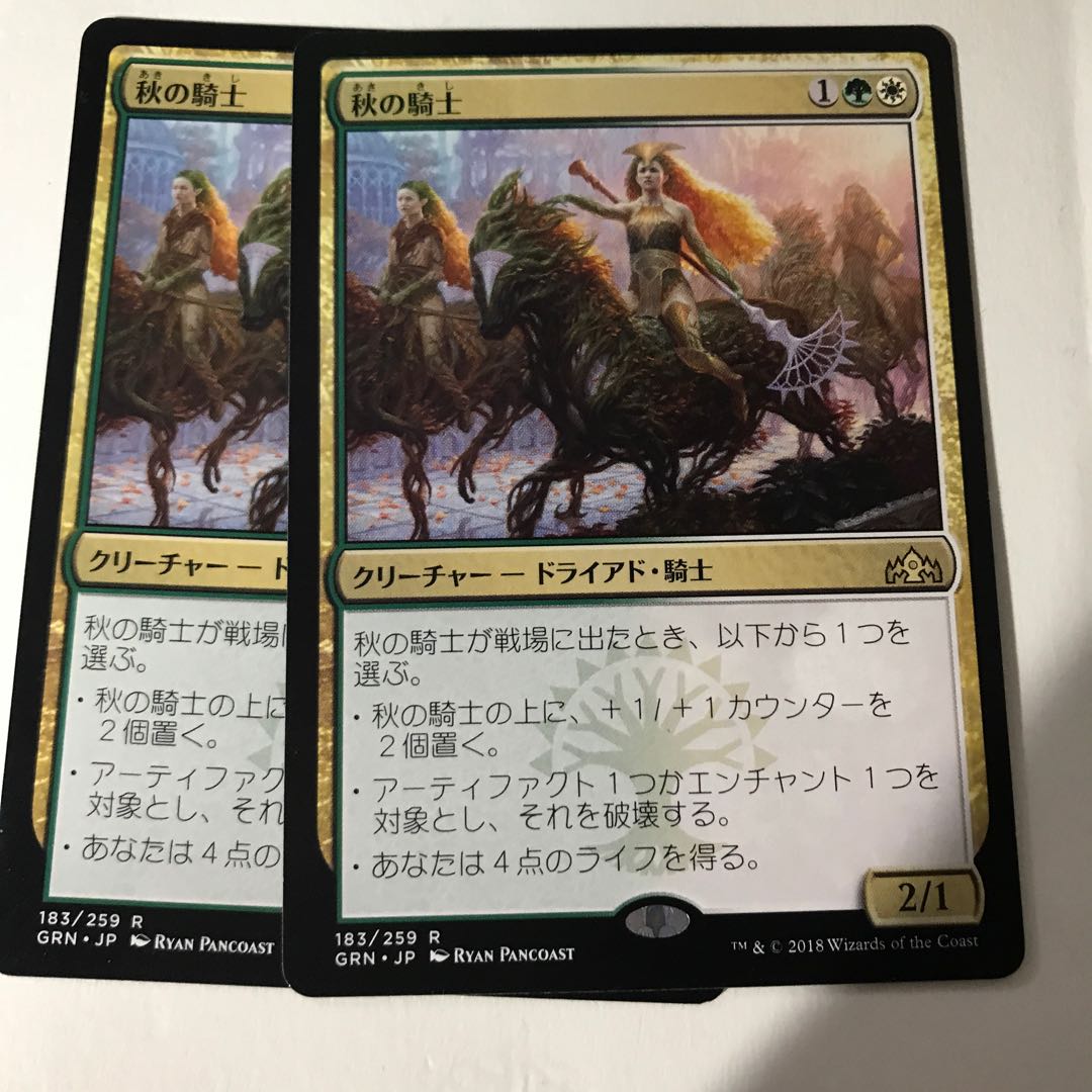 秋の騎士二枚組