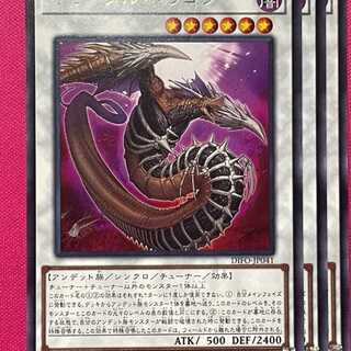 DIFO41R イモータル・ドラゴン 3枚