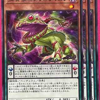 DIFO18N 捕食植物ブフォリキュラ 3枚