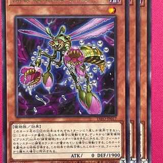 DIFO17R 捕食植物ビブリスプ 3枚