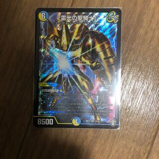 「雷光の聖騎士」