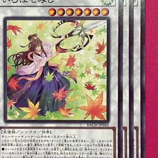 BAC42N いろはもみじ 3枚